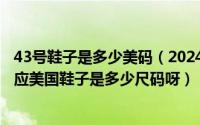 43号鞋子是多少美码（2024年05月16日请问穿43码的鞋对应美国鞋子是多少尺码呀）