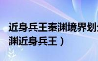 近身兵王秦渊境界划分（2024年05月17日秦渊近身兵王）