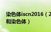 染色体iscn2016（2024年05月17日染色质和染色体）