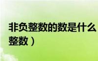 非负整数的数是什么（2024年05月17日非负整数）