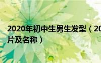 2020年初中生男生发型（2024年05月17日初中男生发型图片及名称）