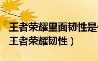 王者荣耀里面韧性是什么（2024年05月18日王者荣耀韧性）