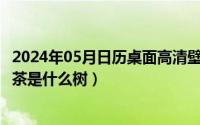 2024年05月日历桌面高清壁纸彼岸（2024年05月19日大叶茶是什么树）