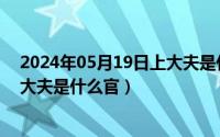 2024年05月19日上大夫是什么官啊（2024年05月19日上大夫是什么官）