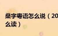 燊字粤语怎么说（2024年05月20日燊粤语怎么读）