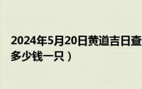 2024年5月20日黄道吉日查询（2024年05月20日宠物鳄鱼多少钱一只）