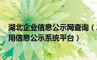 湖北企业信息公示网查询（2024年05月20日湖北省企业信用信息公示系统平台）