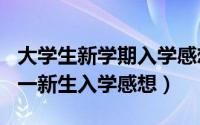 大学生新学期入学感想（2024年05月20日大一新生入学感想）