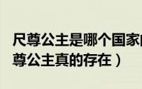 尺尊公主是哪个国家的（2024年05月20日尺尊公主真的存在）