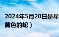 2024年5月20日是星期几（2024年05月20日黄色的蛇）