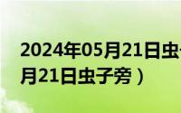 2024年05月21日虫子旁是什么（2024年05月21日虫子旁）