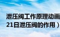 泄压阀工作原理动画演示视频（2024年05月21日泄压阀的作用）