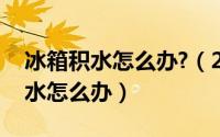 冰箱积水怎么办?（2024年05月21日冰箱积水怎么办）