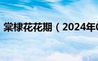 棠棣花花期（2024年05月21日棠棣花图片）