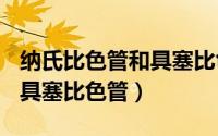 纳氏比色管和具塞比色管（2024年05月21日具塞比色管）