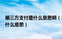 第三方支付是什么意思啊（2024年05月21日第三方支付是什么意思）