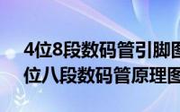 4位8段数码管引脚图（2024年05月21日四位八段数码管原理图）