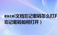 excel文档忘记密码怎么打开（2024年05月21日excel文件忘记密码如何打开）