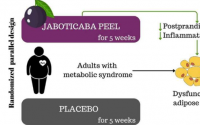 研究发现jaboticaba果皮可以减少代谢综合征患者的炎症并控制血糖