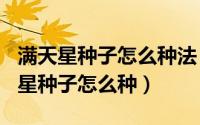 满天星种子怎么种法（2024年05月22日满天星种子怎么种）