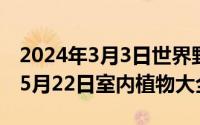 2024年3月3日世界野生动植物日（2024年05月22日室内植物大全）