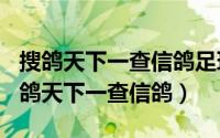 搜鸽天下一查信鸽足环（2024年05月22日搜鸽天下一查信鸽）