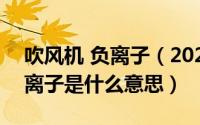 吹风机 负离子（2024年05月22日吹风机负离子是什么意思）