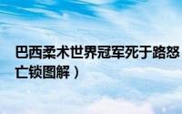 巴西柔术世界冠军死于路怒（2024年05月22日巴西柔术死亡锁图解）