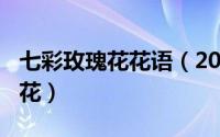 七彩玫瑰花花语（2024年05月23日七彩玫瑰花）