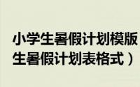 小学生暑假计划模版（2024年05月23日小学生暑假计划表格式）