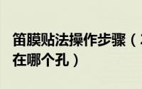 笛膜贴法操作步骤（2024年05月23日笛膜贴在哪个孔）