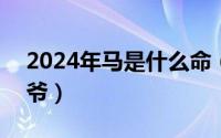 2024年马是什么命（2024年05月23日马王爷）