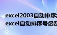 excel2003自动排序编号（2024年05月24日excel自动排序号函数公式）