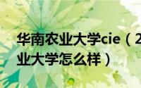 华南农业大学cie（2024年05月24日华南农业大学怎么样）