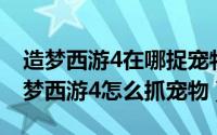 造梦西游4在哪捉宠物（2024年05月24日造梦西游4怎么抓宠物）