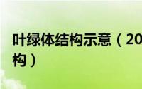 叶绿体结构示意（2024年05月24日叶绿体结构）