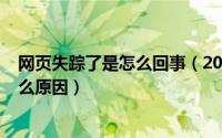 网页失踪了是怎么回事（2024年05月24日网页走丢了是什么原因）