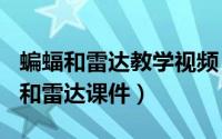 蝙蝠和雷达教学视频（2024年05月24日蝙蝠和雷达课件）