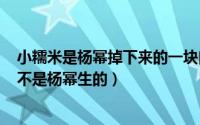 小糯米是杨幂掉下来的一块肉吗（2024年05月24日小糯米不是杨幂生的）