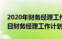 2020年财务经理工作规划（2024年05月24日财务经理工作计划）