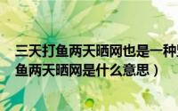 三天打鱼两天晒网也是一种坚持（2024年05月24日三天打鱼两天晒网是什么意思）