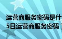 运营商服务密码是什么意思?（2024年05月25日运营商服务密码）