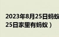 2023年8月25日蚂蚁庄园答案（2024年05月25日家里有蚂蚁）