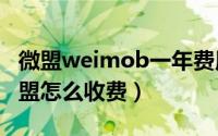 微盟weimob一年费用（2024年05月25日微盟怎么收费）