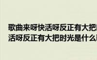 歌曲来呀快活呀反正有大把时光（2024年05月25日来呀快活呀反正有大把时光是什么歌）