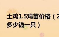 土鸡1.5鸡苗价格（2024年05月25日土鸡苗多少钱一只）