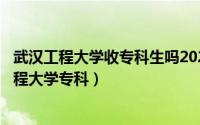 武汉工程大学收专科生吗2020年（2024年05月25日武汉工程大学专科）