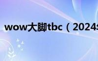 wow大脚tbc（2024年05月26日大脚nga）