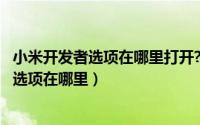 小米开发者选项在哪里打开?（2024年05月26日小米开发者选项在哪里）