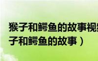 猴子和鳄鱼的故事视频（2024年05月26日猴子和鳄鱼的故事）